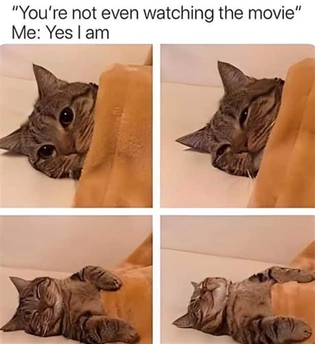 funny pics and memes 1 1 Funny Pics and Memes to Make You Laugh #182 (17 photos)