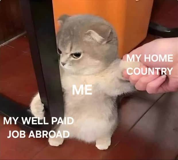 funny pics and memes 1 Funny Pics and Memes to Make You Laugh #180 (24 photos)