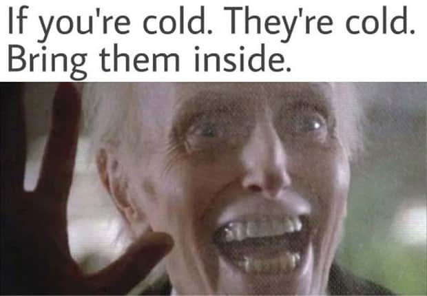 funny pics and memes 10 1 Funny Pics and Memes to Make You Laugh #182 (17 photos)