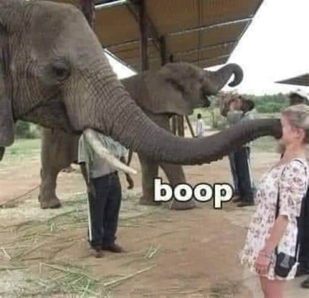 funny pics and memes 17 Funny Pics and Memes to Make You Laugh #180 (24 photos)