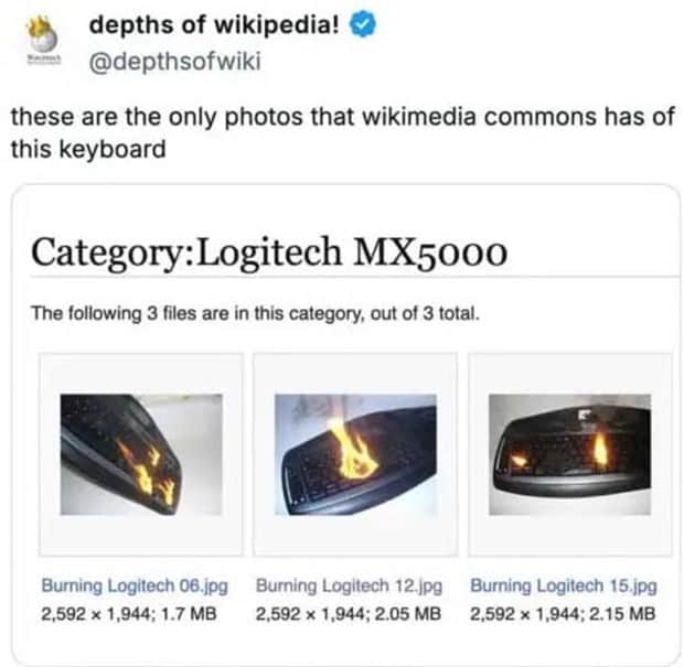 funny wikipedia entries 10 30 Weird Wikipedia Entries Hidden in the Depths (30 photos)