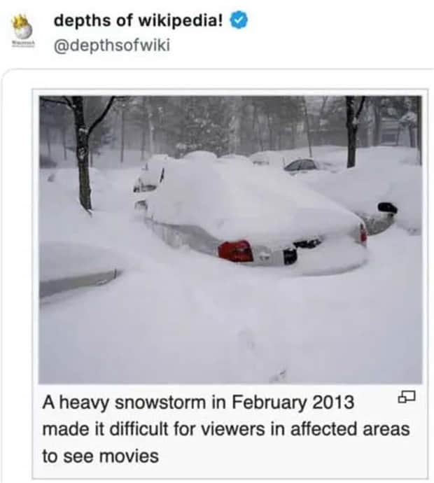 funny wikipedia entries 13 30 Weird Wikipedia Entries Hidden in the Depths (30 photos)