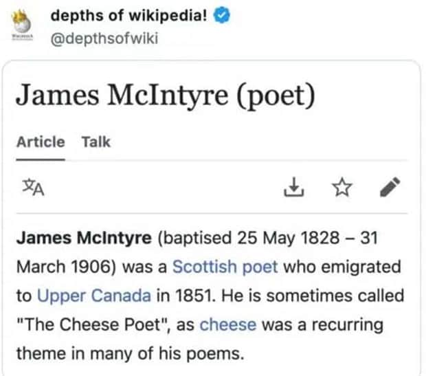 funny wikipedia entries 26 30 Weird Wikipedia Entries Hidden in the Depths (30 photos)