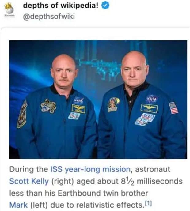 funny wikipedia entries 30 30 Weird Wikipedia Entries Hidden in the Depths (30 photos)