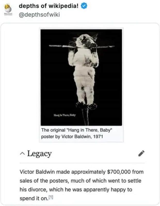 funny wikipedia entries 6 30 Weird Wikipedia Entries Hidden in the Depths (30 photos)