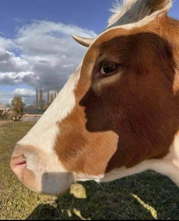 klyker picdump 11 10 2025 10 Klyker Picdump #1851 (41 photos)