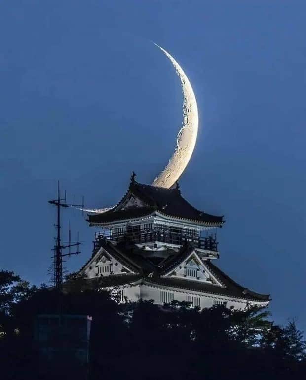 klyker picdump 11 10 2025 26 Klyker Picdump #1851 (41 photos)