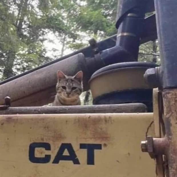 klyker picdump 11 10 2025 32 Klyker Picdump #1851 (41 photos)