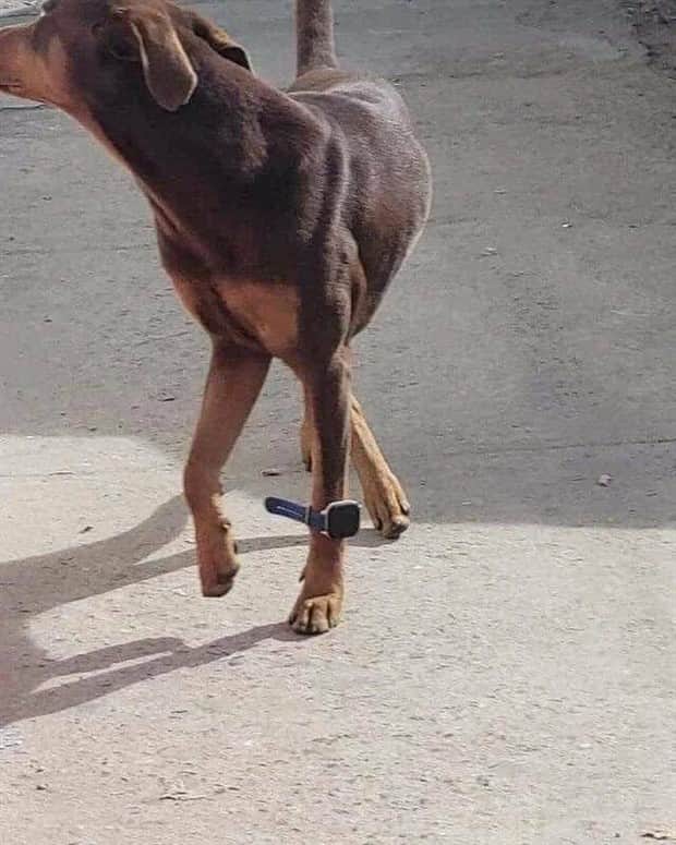 klyker picdump 11 11 2025 13 Klyker Picdump #1852 (42 photos)