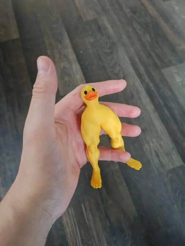 klyker picdump 11 11 2025 14 Klyker Picdump #1852 (42 photos)