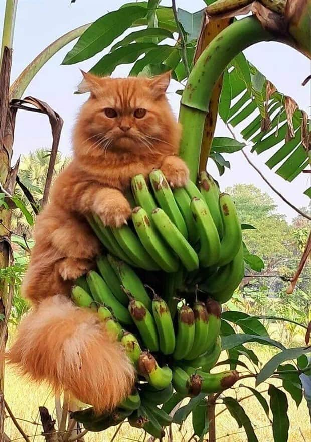 klyker picdump 11 11 2025 16 Klyker Picdump #1852 (42 photos)