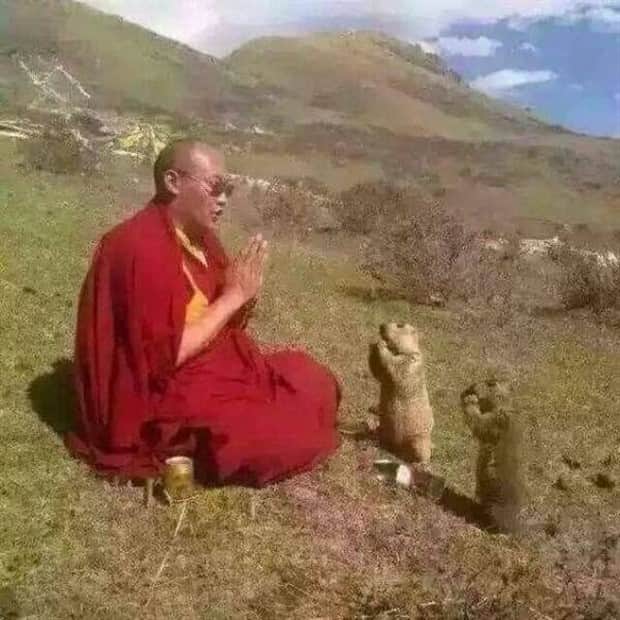 klyker picdump 11 11 2025 17 Klyker Picdump #1852 (42 photos)