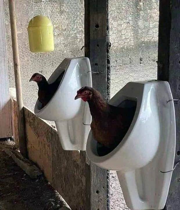 klyker picdump 11 12 2025 13 Klyker Picdump #1853 (43 photos)