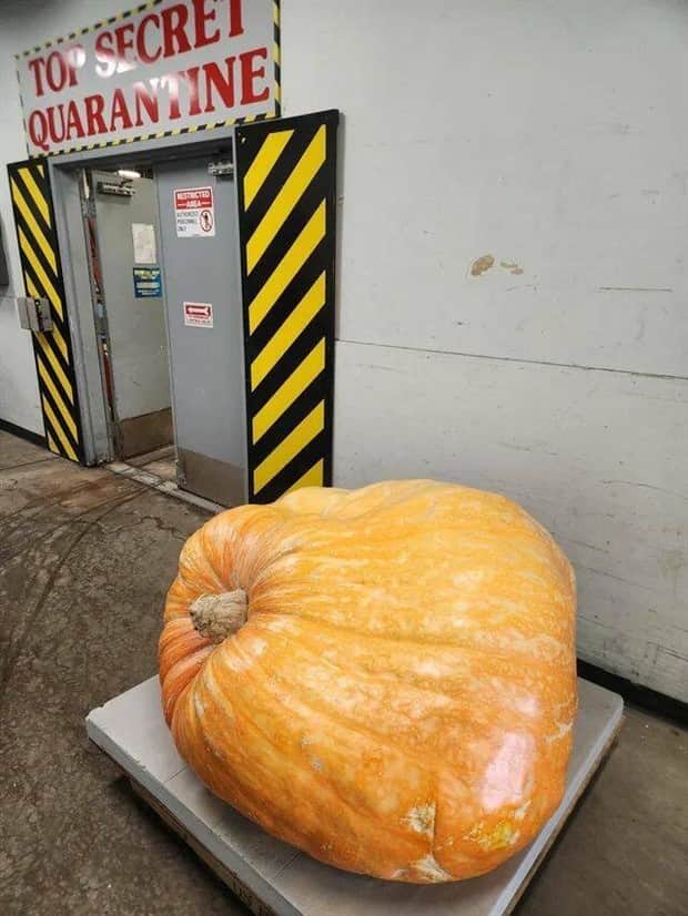 klyker picdump 11 12 2025 14 Klyker Picdump #1853 (43 photos)