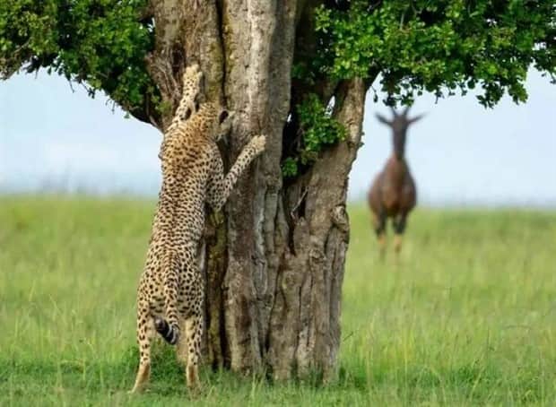 klyker picdump 11 12 2025 23 Klyker Picdump #1853 (43 photos)