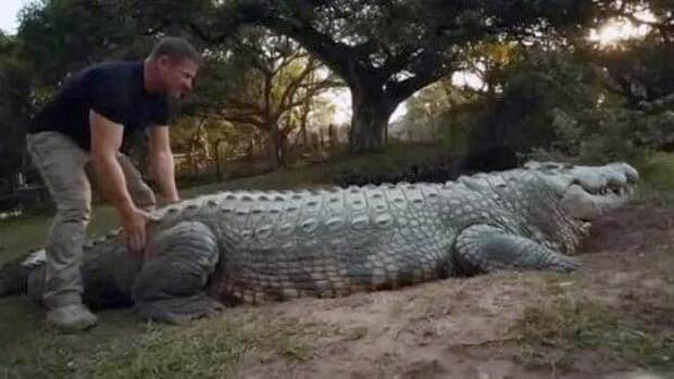 klyker picdump 11 12 2025 27 Klyker Picdump #1853 (43 photos)