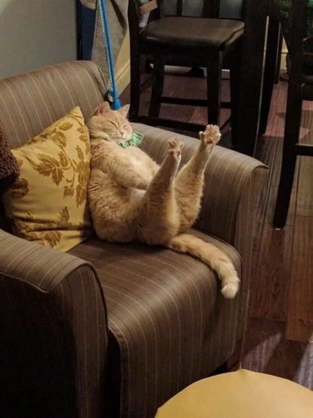 klyker picdump 11 12 2025 37 Klyker Picdump #1853 (43 photos)