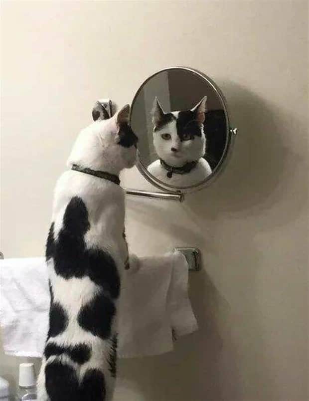 klyker picdump 11 12 2025 40 Klyker Picdump #1853 (43 photos)