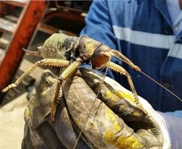 klyker picdump 11 12 2025 43 Klyker Picdump #1853 (43 photos)