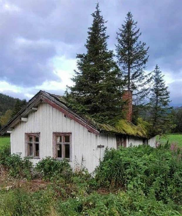 klyker picdump 11 12 2025 9 Klyker Picdump #1853 (43 photos)