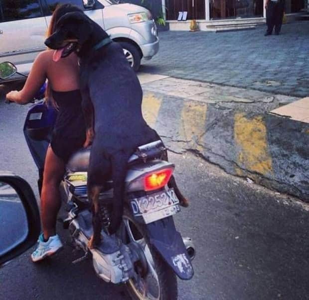 klyker picdump 11 14 2025 12 Klyker Picdump #1855 (45 photos)