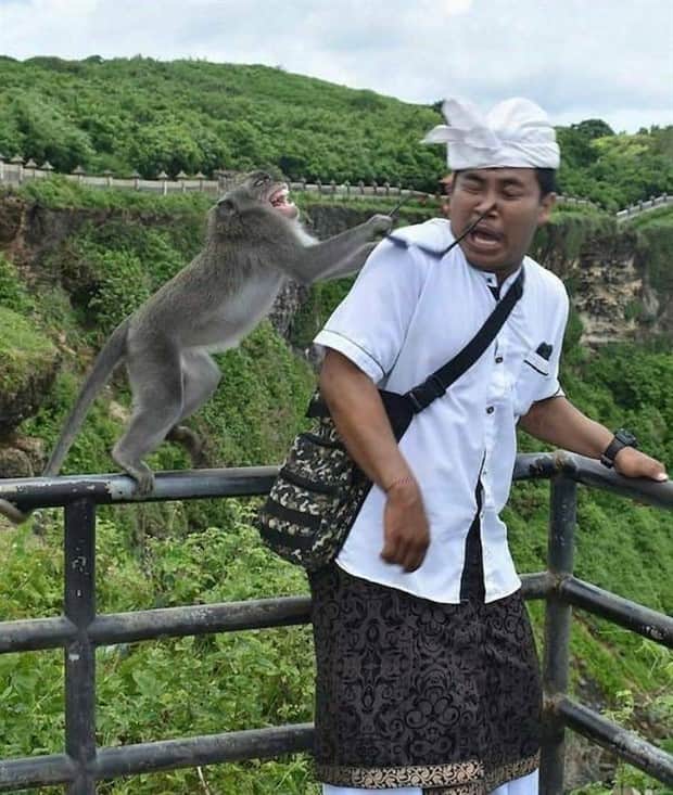 klyker picdump 11 14 2025 18 Klyker Picdump #1855 (45 photos)