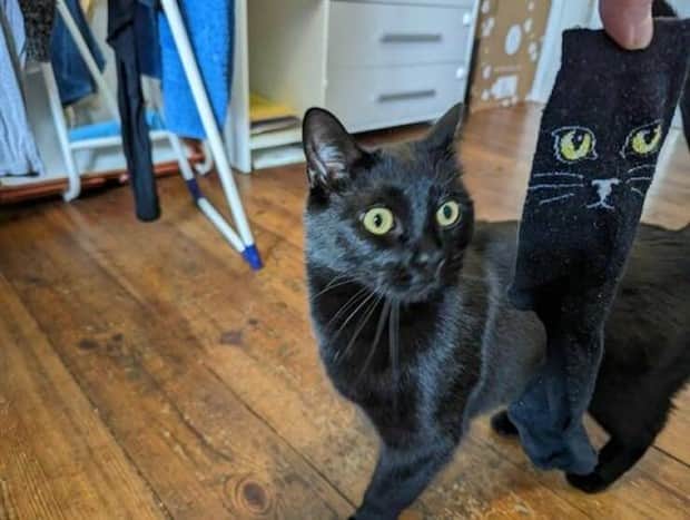 klyker picdump 11 14 2025 35 Klyker Picdump #1855 (45 photos)