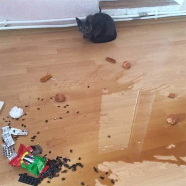 klyker picdump 11 14 2025 7 Klyker Picdump #1855 (45 photos)