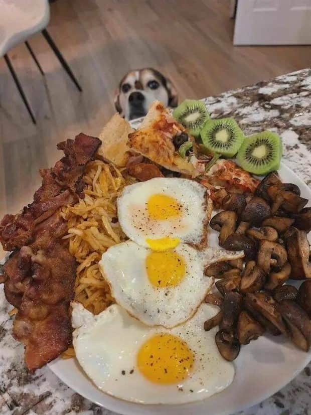 Klyker Picdump #1856 (41 photos)