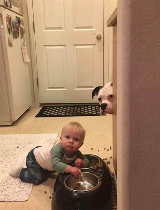 Klyker Picdump #1856 (41 photos)