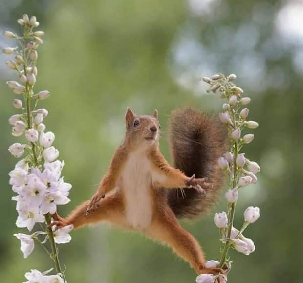 Klyker Picdump #1856 (41 photos)