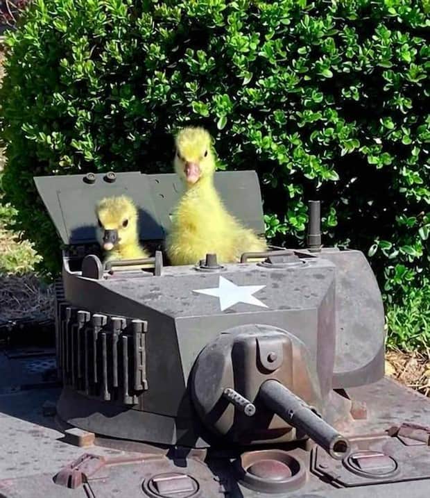 Klyker Picdump #1856 (41 photos)