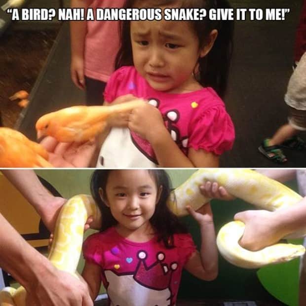 Klyker Picdump #1857 (42 photos)