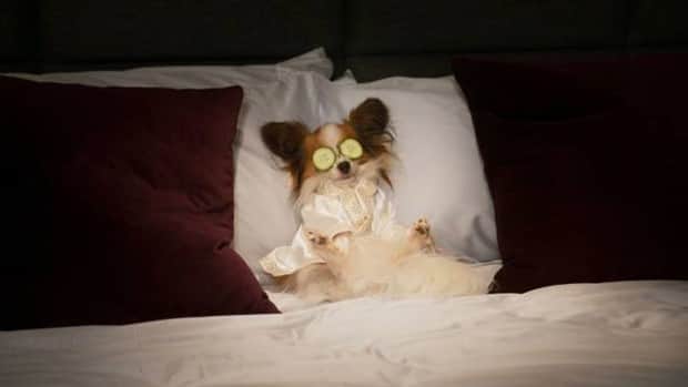 Klyker Picdump #1857 (42 photos)