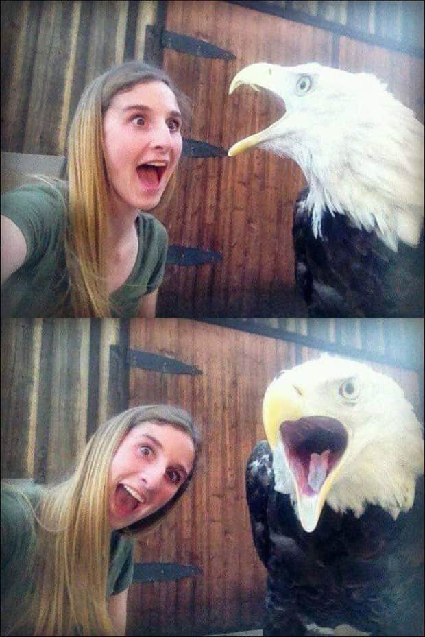 Klyker Picdump #1857 (42 photos)