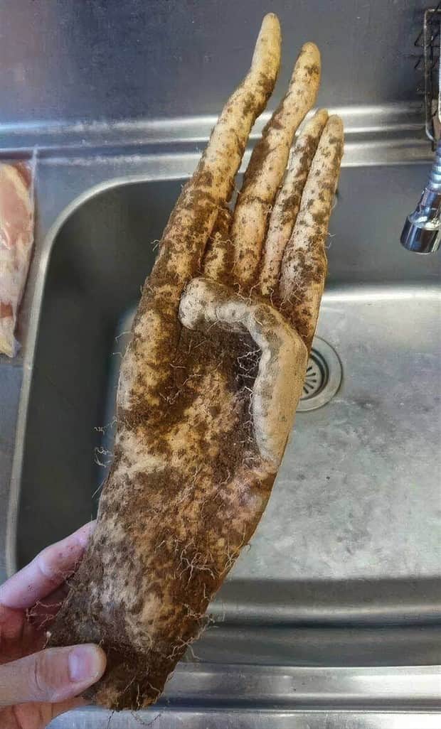 Klyker Picdump #1858 (43 photos)