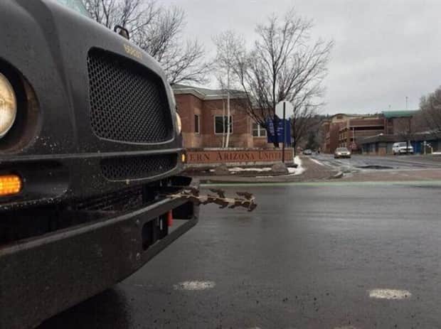 Klyker Picdump #1858 (43 photos)