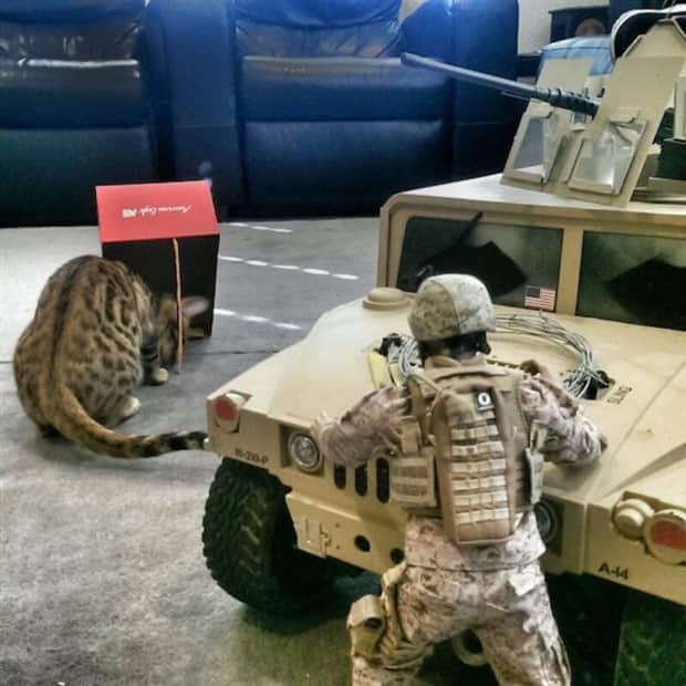 Klyker Picdump #1859 (44 photos)