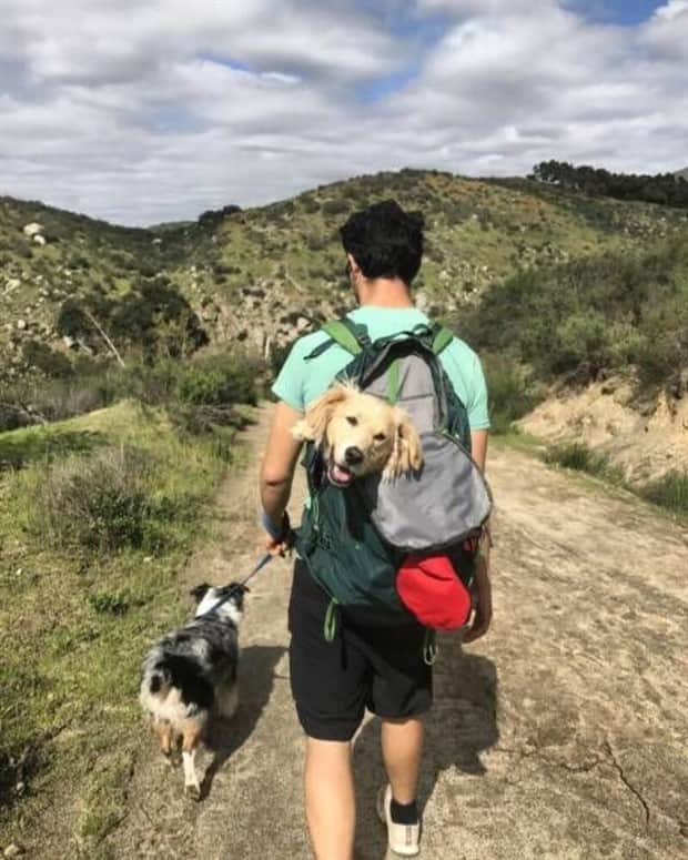 Klyker Picdump #1859 (44 photos)