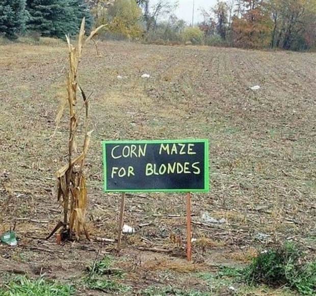 Klyker Picdump #1859 (44 photos)