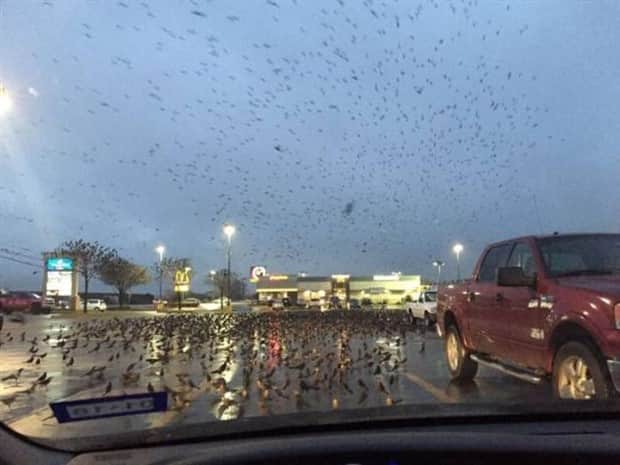 Klyker Picdump #1859 (44 photos)