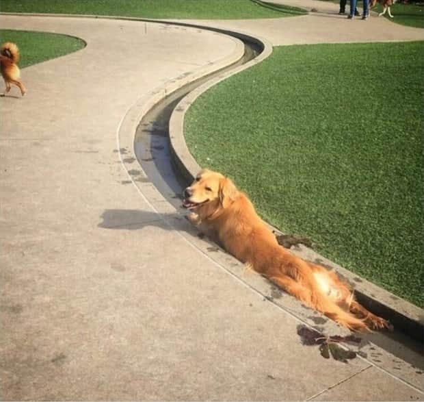 Klyker Picdump #1859 (44 photos)