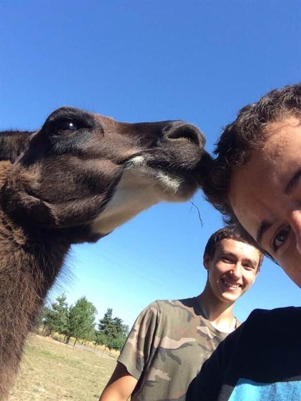 Klyker Picdump #1859 (44 photos)