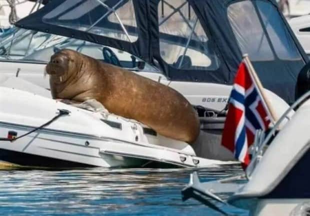 Klyker Picdump #1861 (41 photos)