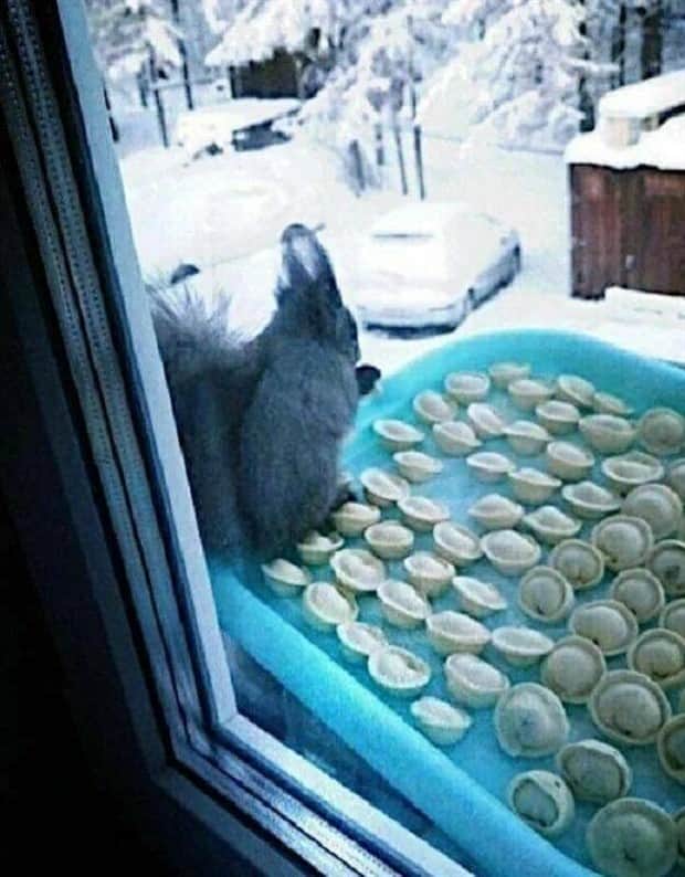 Klyker Picdump #1861 (41 photos)