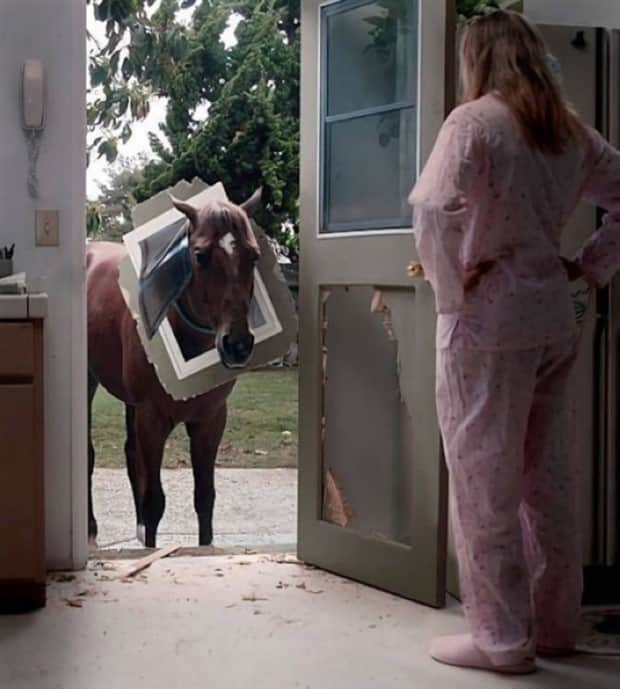 Klyker Picdump #1861 (41 photos)