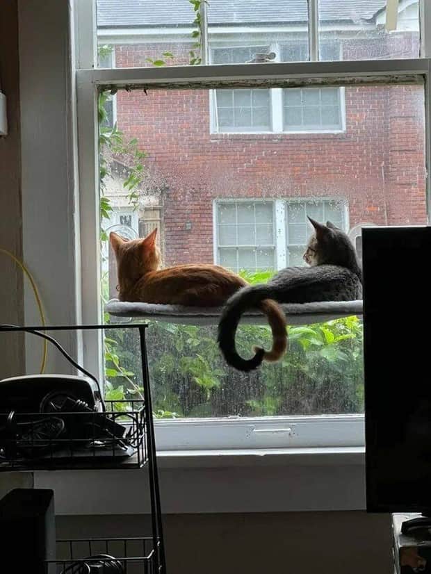 Klyker Picdump #1861 (41 photos)