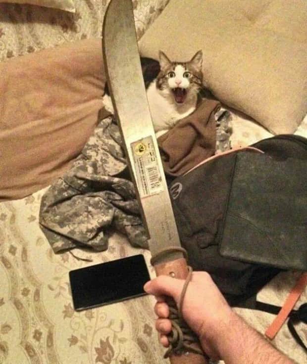 Klyker Picdump #1861 (41 photos)