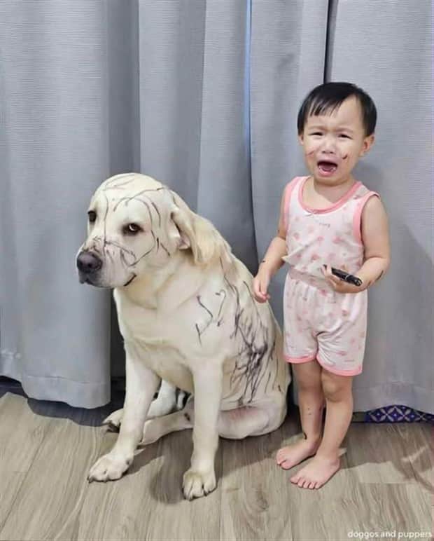 Klyker Picdump #1861 (41 photos)