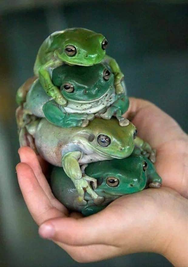 Klyker Picdump #1861 (41 photos)